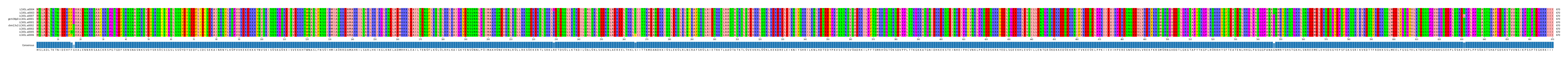 Multiple Alignments (by translate haplotype similarity)