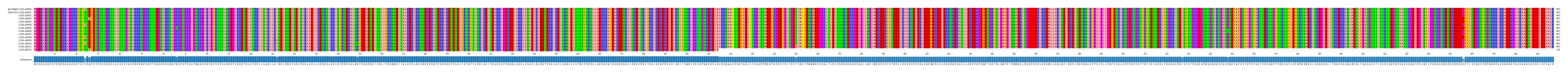 Multiple Alignments (by translate haplotype frequency)