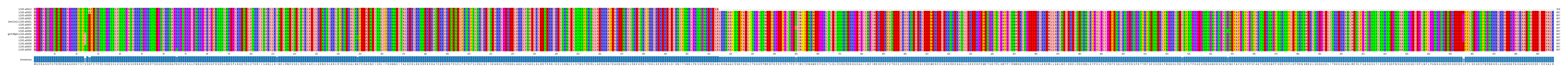 Multiple Alignments (by translate haplotype similarity)