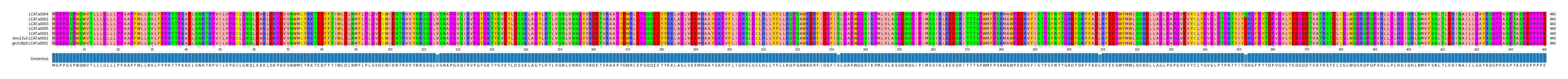 Multiple Alignments (by translate haplotype similarity)