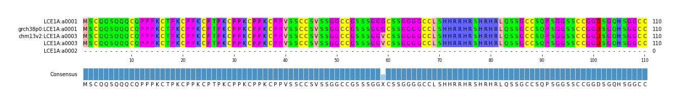 Multiple Alignments (by translate haplotype similarity)