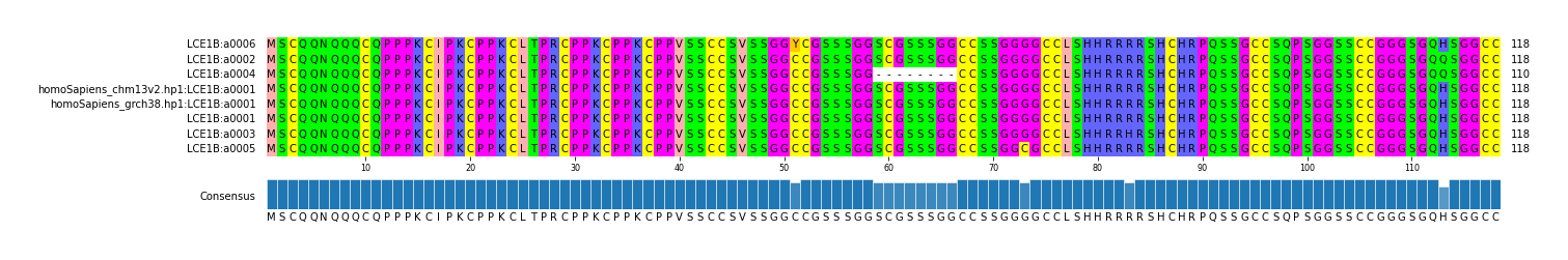 Multiple Alignments (by translate haplotype similarity)