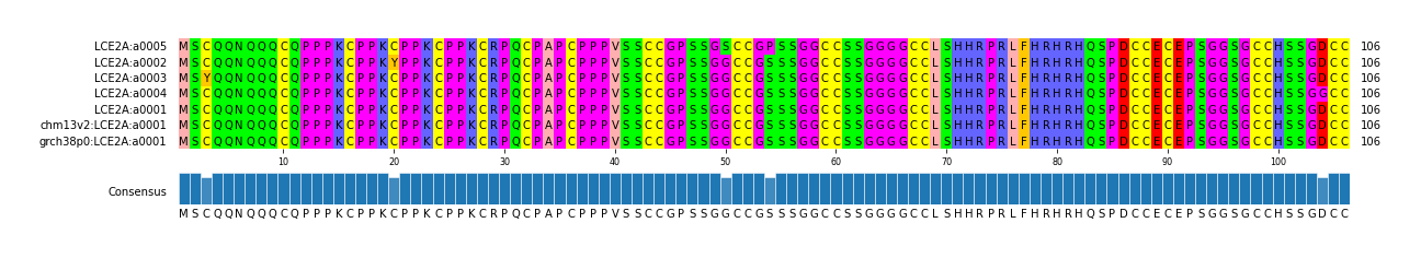 Multiple Alignments (by translate haplotype similarity)