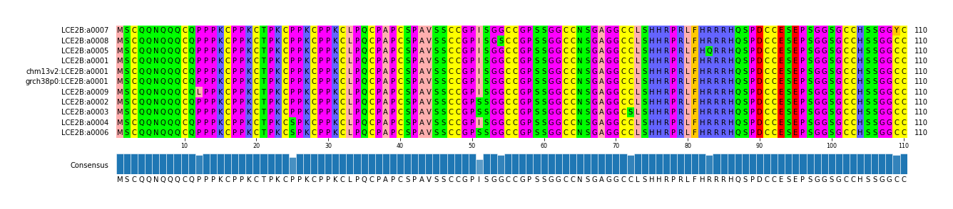 Multiple Alignments (by translate haplotype similarity)