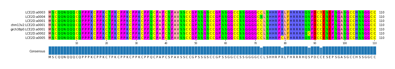 Multiple Alignments (by translate haplotype similarity)