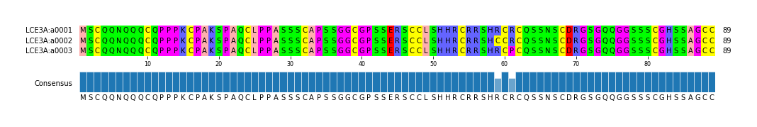 Multiple Alignments (by translate haplotype frequency)