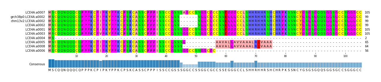 Multiple Alignments (by translate haplotype similarity)