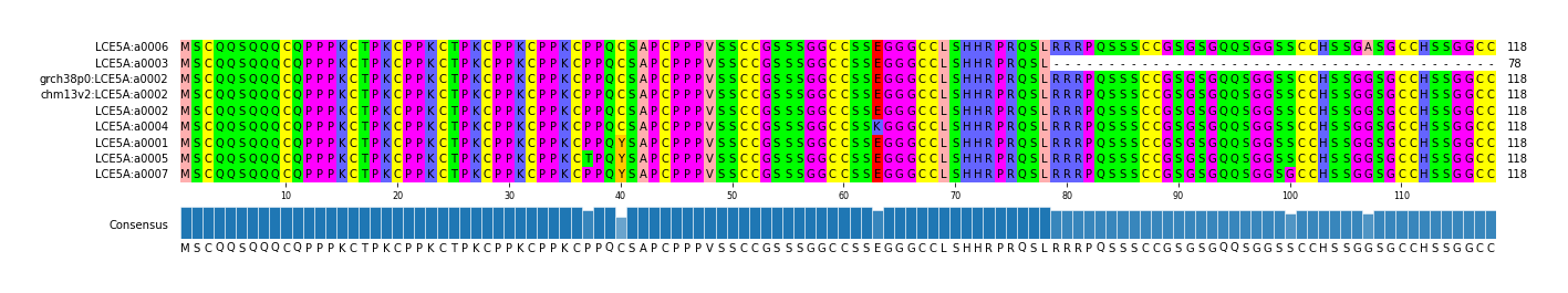 Multiple Alignments (by translate haplotype similarity)