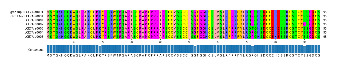 Multiple Alignments (by translate haplotype frequency)