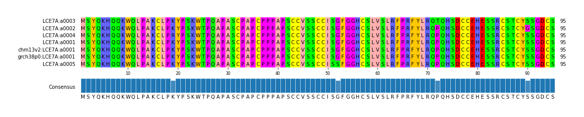Multiple Alignments (by translate haplotype similarity)