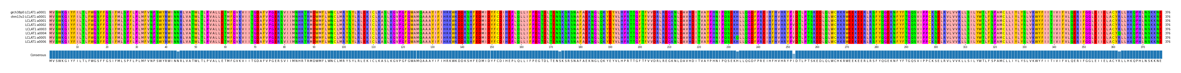 Multiple Alignments (by translate haplotype frequency)