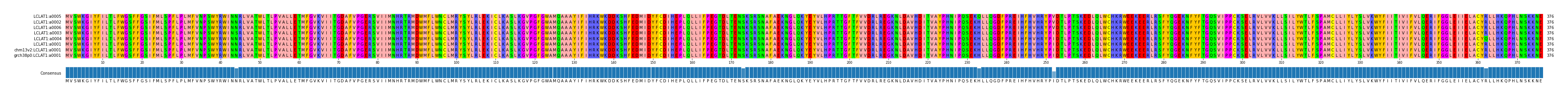 Multiple Alignments (by translate haplotype similarity)