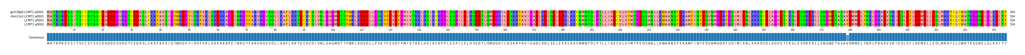 Multiple Alignments (by translate haplotype similarity)