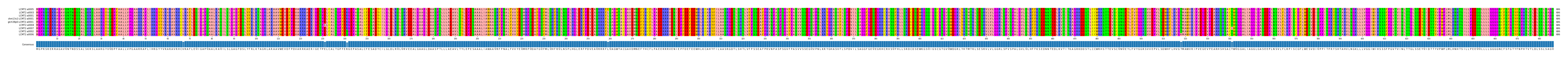 Multiple Alignments (by translate haplotype similarity)