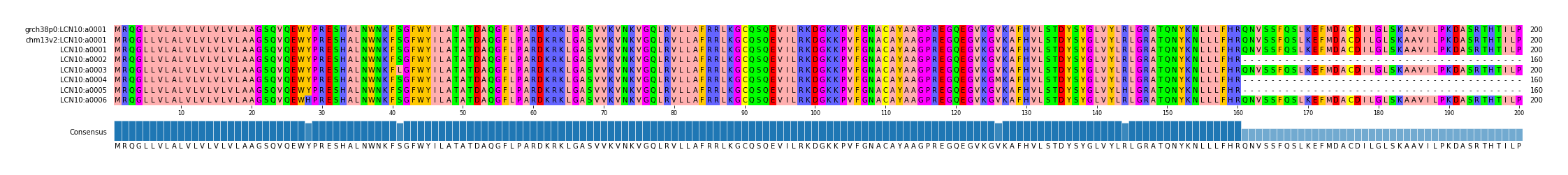 Multiple Alignments (by translate haplotype frequency)