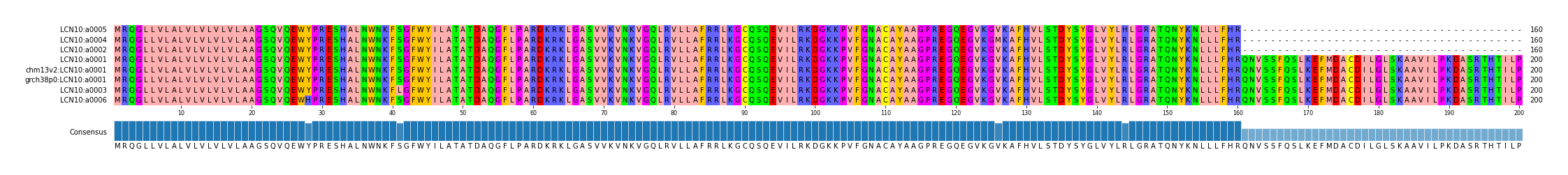 Multiple Alignments (by translate haplotype similarity)