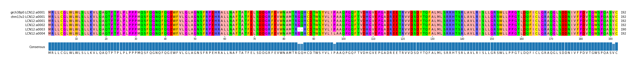 Multiple Alignments (by translate haplotype frequency)