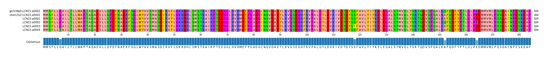 Multiple Alignments (by translate haplotype frequency)