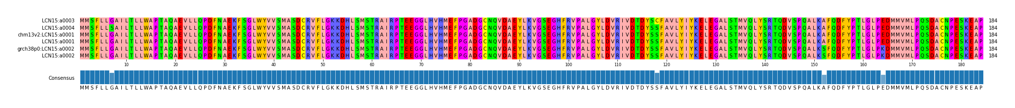 Multiple Alignments (by translate haplotype similarity)
