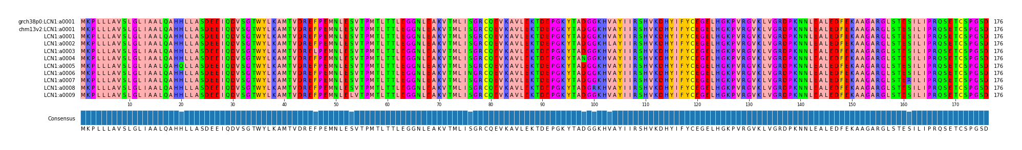 Multiple Alignments (by translate haplotype frequency)