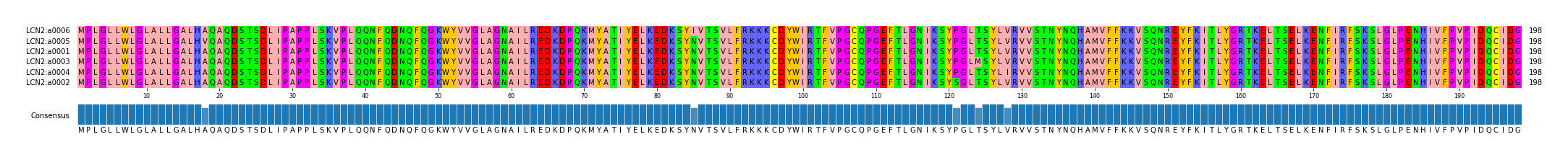 Multiple Alignments (by translate haplotype similarity)