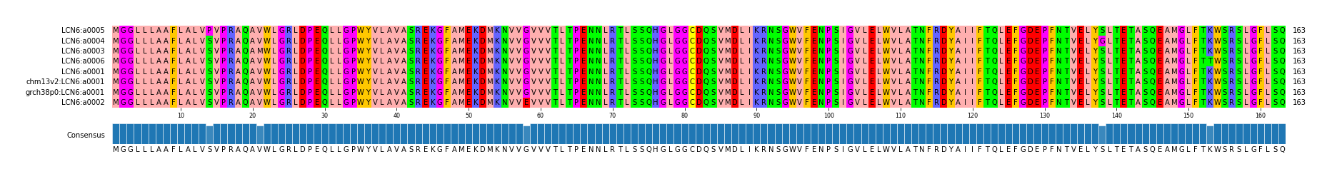 Multiple Alignments (by translate haplotype similarity)