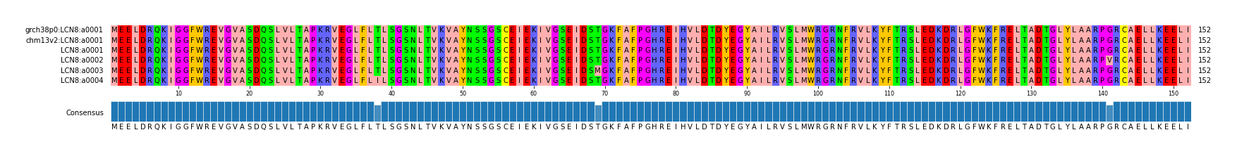 Multiple Alignments (by translate haplotype frequency)