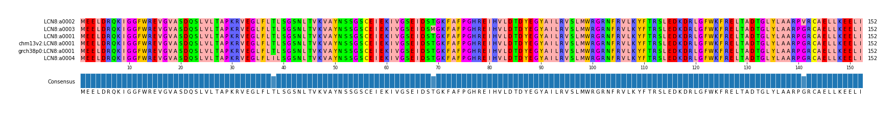 Multiple Alignments (by translate haplotype similarity)