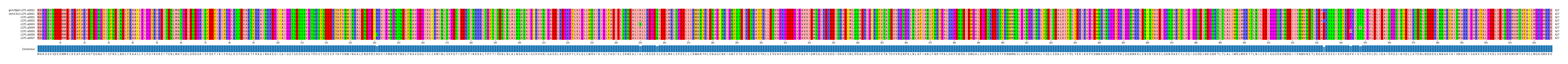 Multiple Alignments (by translate haplotype frequency)