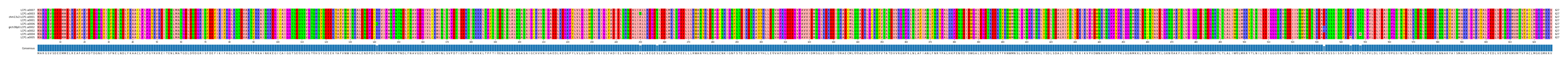 Multiple Alignments (by translate haplotype similarity)