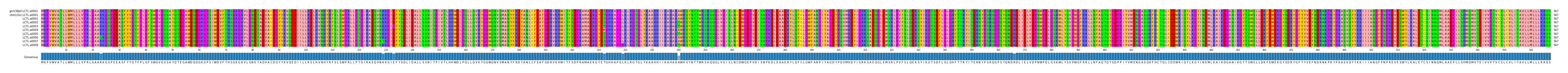 Multiple Alignments (by translate haplotype frequency)