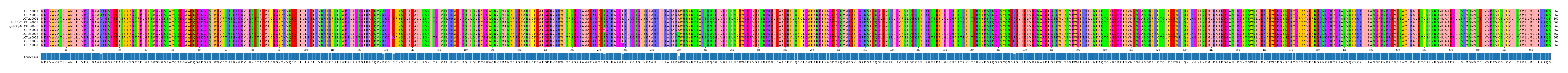 Multiple Alignments (by translate haplotype similarity)