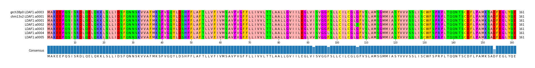 Multiple Alignments (by translate haplotype frequency)