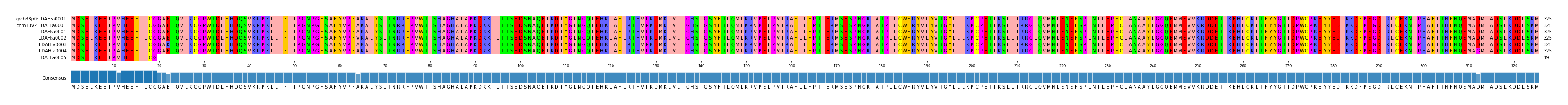 Multiple Alignments (by translate haplotype frequency)