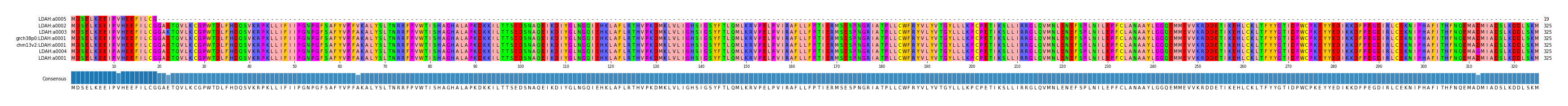 Multiple Alignments (by translate haplotype similarity)