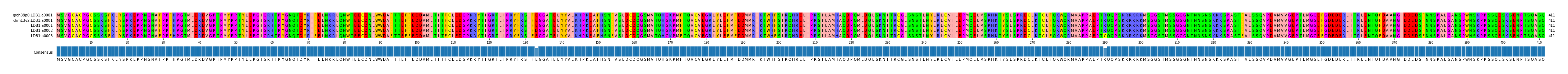 Multiple Alignments (by translate haplotype frequency)