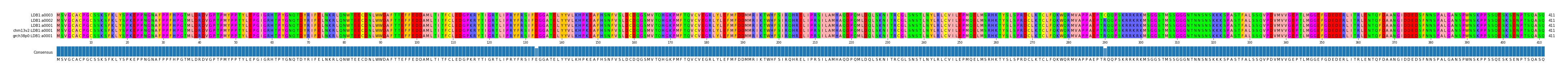 Multiple Alignments (by translate haplotype similarity)