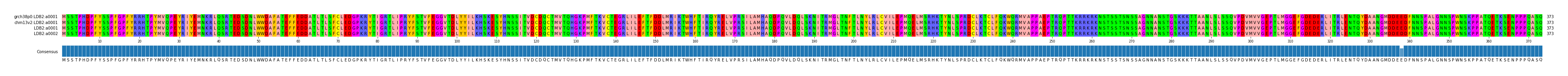 Multiple Alignments (by translate haplotype similarity)