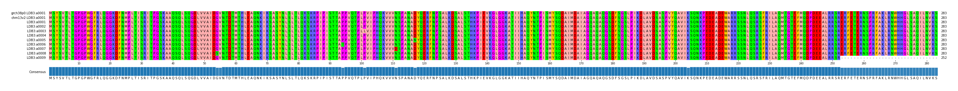 Multiple Alignments (by translate haplotype frequency)