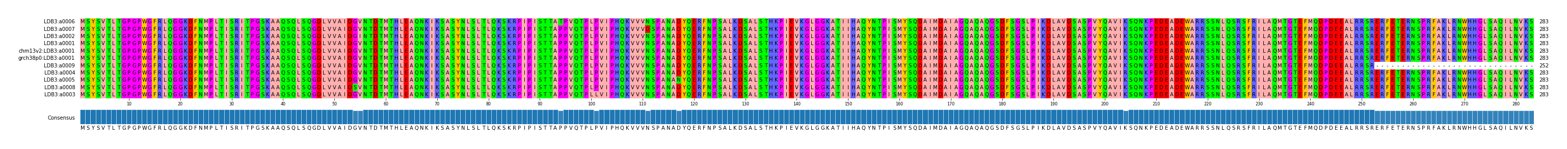 Multiple Alignments (by translate haplotype similarity)