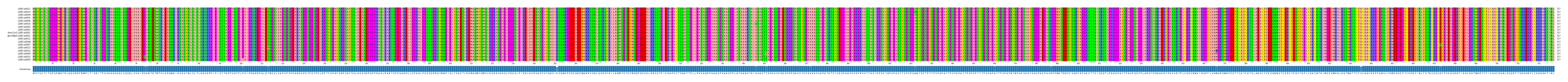 Multiple Alignments (by translate haplotype similarity)
