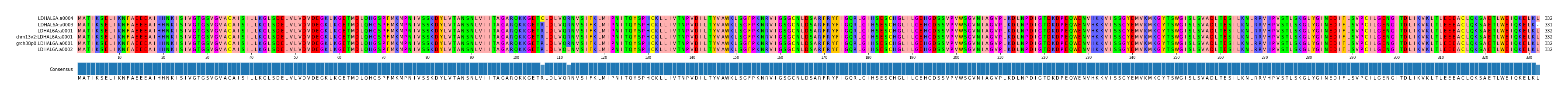 Multiple Alignments (by translate haplotype similarity)