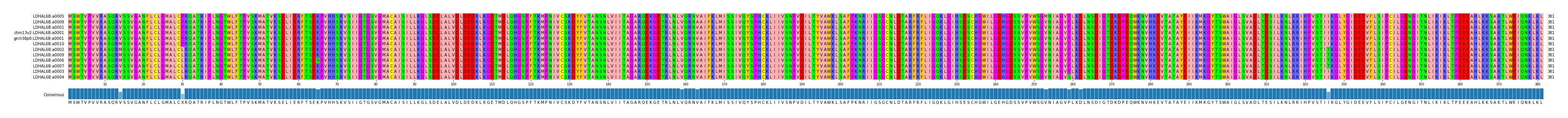 Multiple Alignments (by translate haplotype similarity)