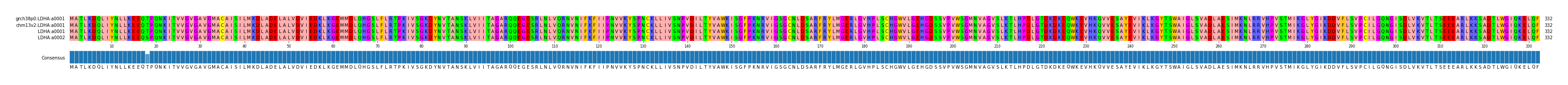 Multiple Alignments (by translate haplotype frequency)