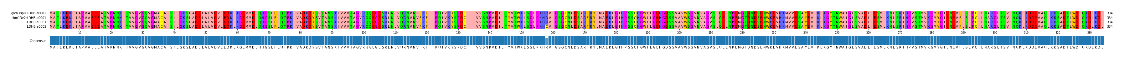 Multiple Alignments (by translate haplotype similarity)