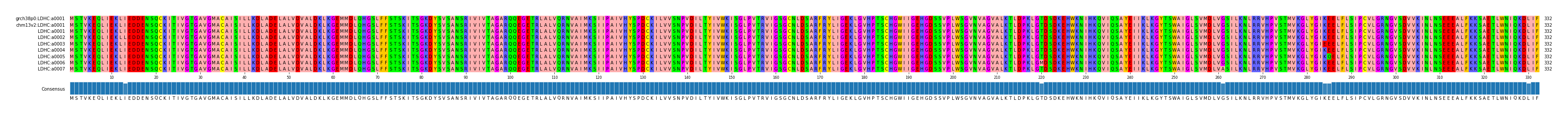 Multiple Alignments (by translate haplotype frequency)