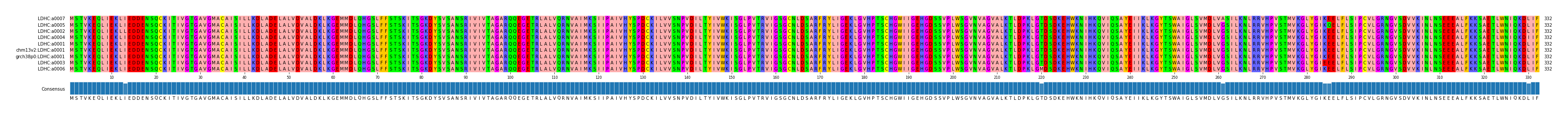 Multiple Alignments (by translate haplotype similarity)