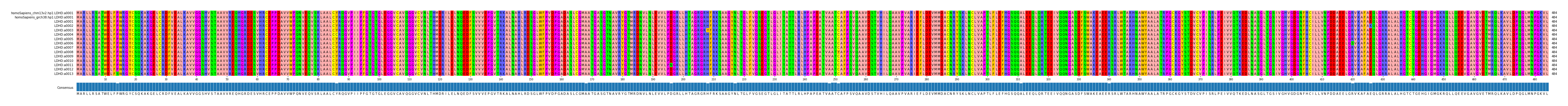 Multiple Alignments (by translate haplotype frequency)