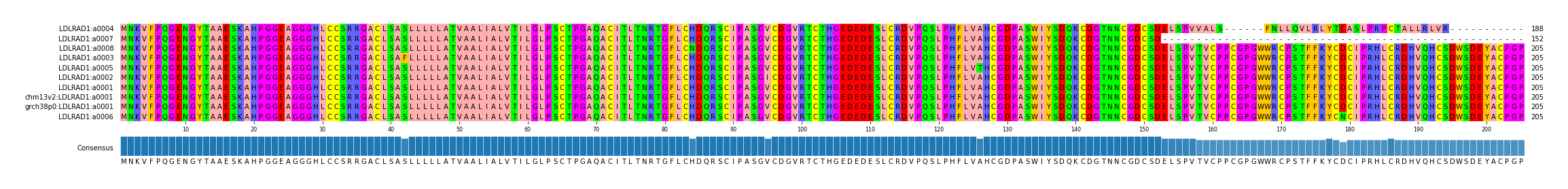 Multiple Alignments (by translate haplotype similarity)
