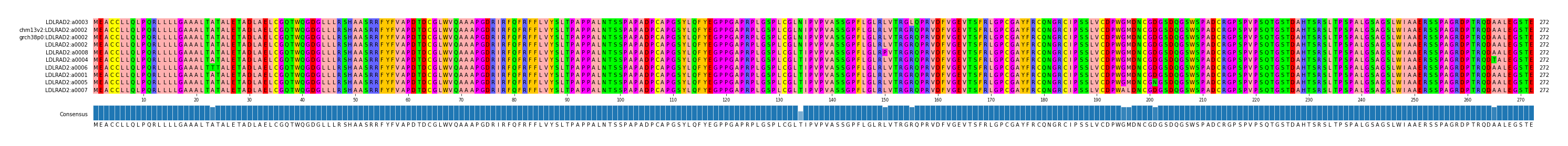 Multiple Alignments (by translate haplotype similarity)